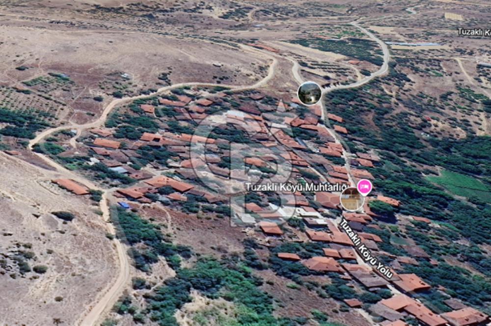 SÖĞÜT TUZAKLI'DA SATILIK 7.836 M2 TARLA TEK TAPU 