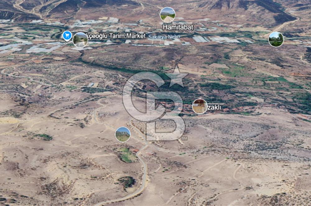 SÖĞÜT TUZAKLI'DA SATILIK 7.836 M2 TARLA TEK TAPU 
