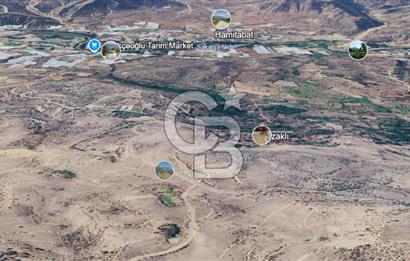 SÖĞÜT TUZAKLI'DA SATILIK 7.836 M2 TARLA TEK TAPU 