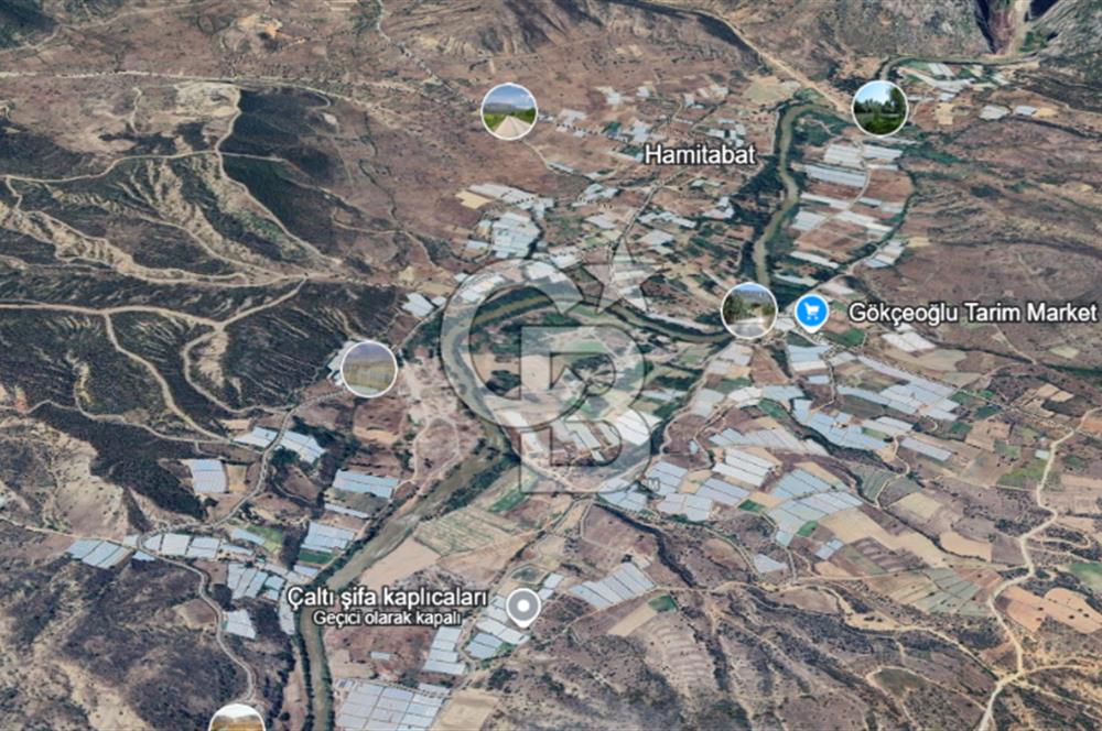 SÖĞÜT TUZAKLI'DA SATILIK 7.836 M2 TARLA TEK TAPU 