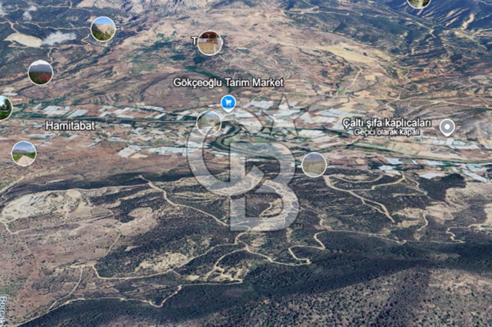 SÖĞÜT TUZAKLI'DA SATILIK 7.836 M2 TARLA TEK TAPU 