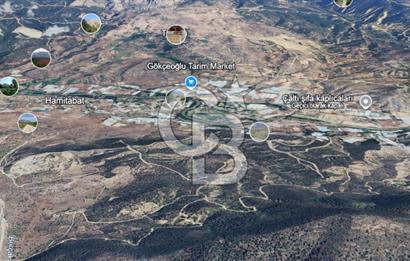 SÖĞÜT TUZAKLI'DA SATILIK 7.836 M2 TARLA TEK TAPU 