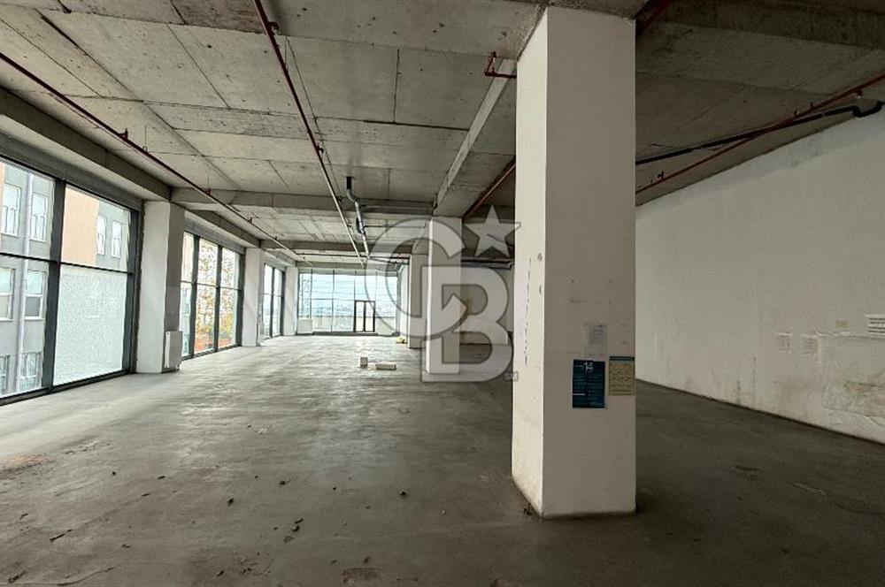 Avcılar Cihangir Mahallesi Kiralık 700m2 Depo & Mağaza
