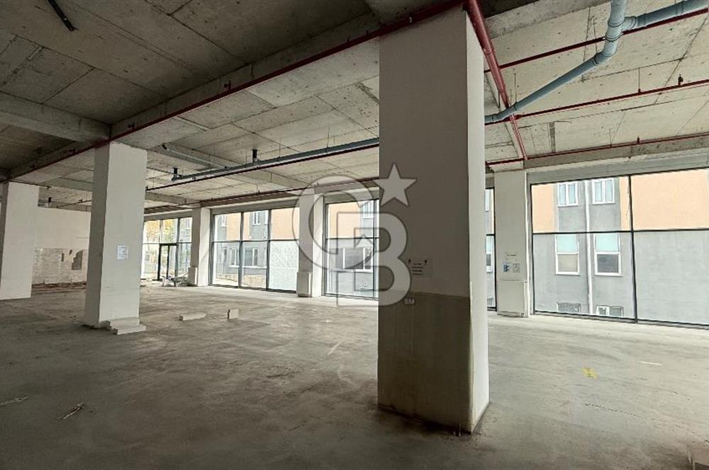 Avcılar Cihangir Mahallesi Kiralık 700m2 Depo & Mağaza