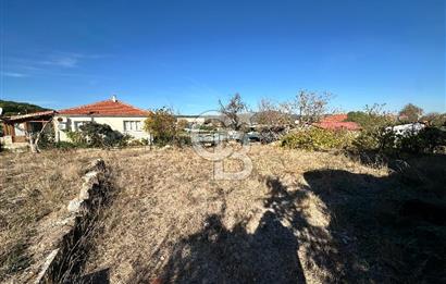 URLA ZEYTİNLER KÖY İÇİNDE 713 M2 ARSA İÇİNDE 2 ADET EV VE AHIR