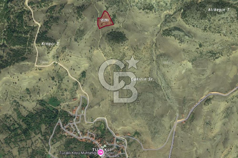 SÖĞÜT TUZAKLI'DA SATILIK 7.836 M2 TARLA TEK TAPU 