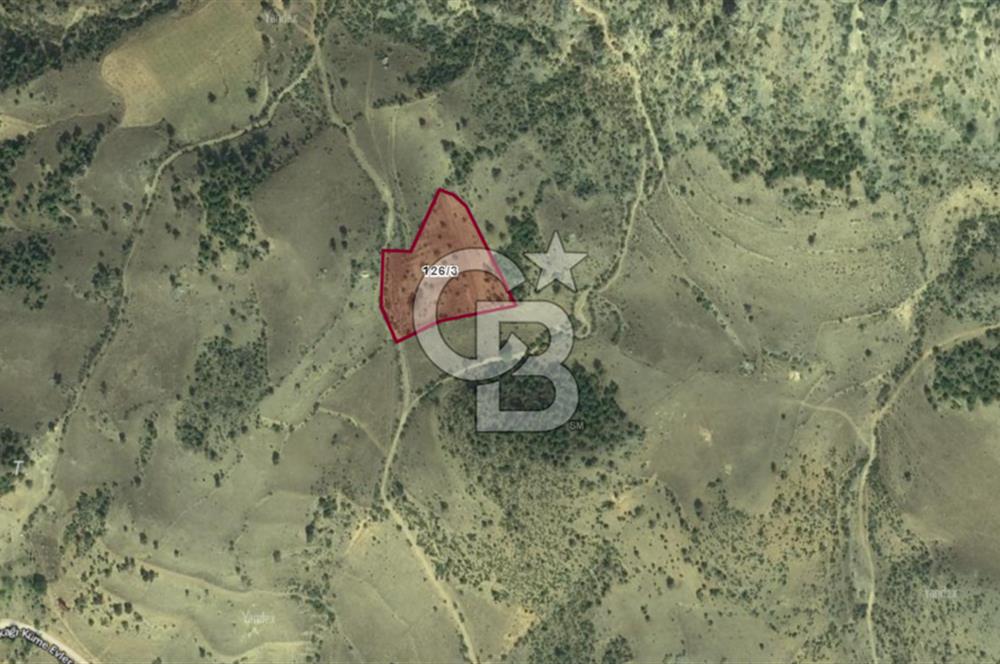 SÖĞÜT TUZAKLI'DA SATILIK 7.836 M2 TARLA TEK TAPU 