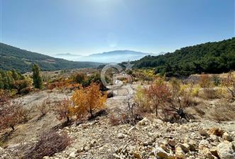 İzmir Bornova'da satılık tarla