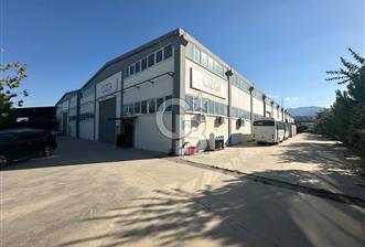 Kayaköy Bozburun Mh. 7009 M² Satılık Fabrika