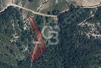 Derince Kaşıkçı Mahallesi'nde 2890m² Tarla Vasfında Satılık Arsa