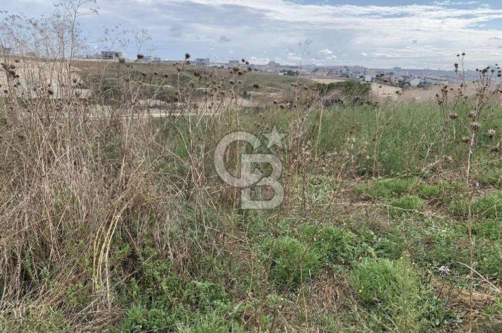 CB MORE - ARNAVUTKÖY ÖMERLİ'DE SATILIK ARSA 