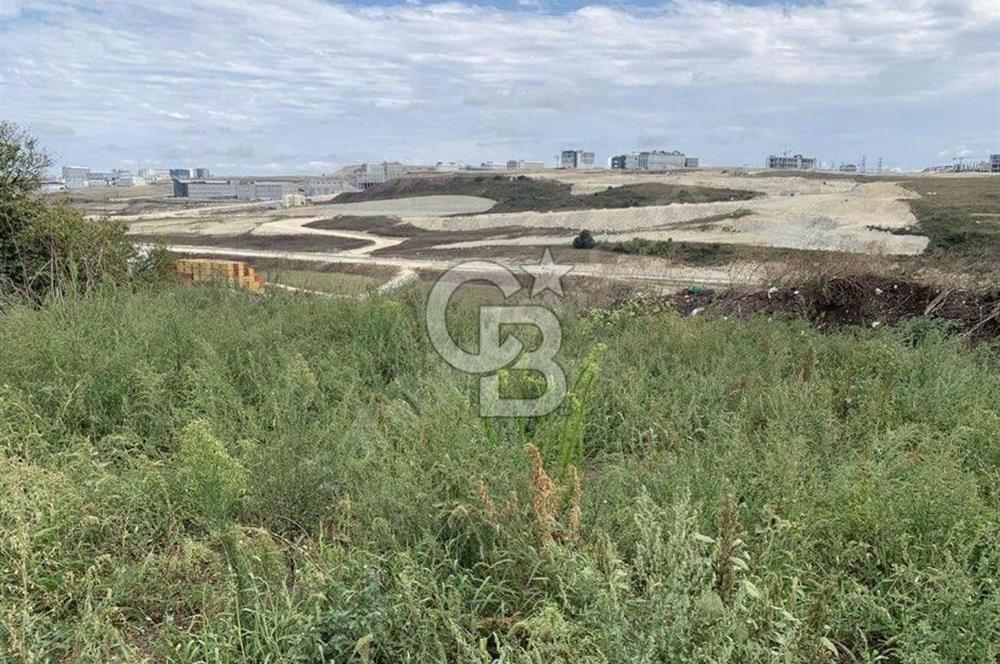  CB MORE - ARNAVUTKÖY ÖMERLİ'DE SATILIK ARSA 