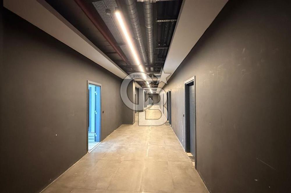 Avcılar Cihangir Mh Gelişim Üniversitesi Yakını Kiralık 1+1 Ofis