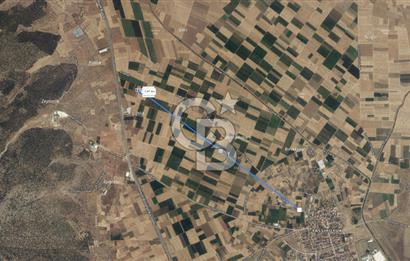 Acıpayam Yassıhüyük Mh. Satılık 1325 M2 Tarla