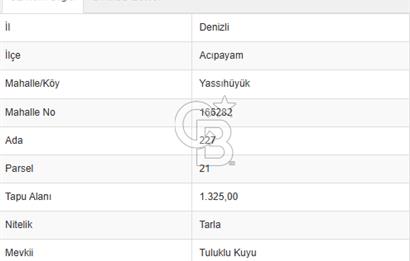 Acıpayam Yassıhüyük Mh. Satılık 1325 M2 Tarla