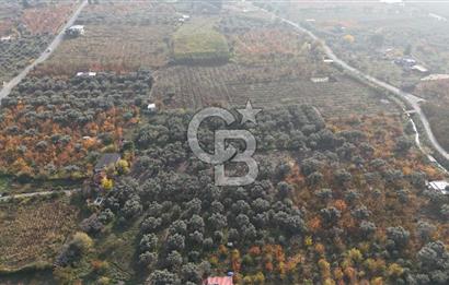 KEMALPAŞA ÖREN 75.YIL MAHALLESİ SATILIK 5292m2 BAĞ