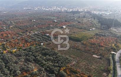 KEMALPAŞA ÖREN 75.YIL MAHALLESİ SATILIK 5292m2 BAĞ