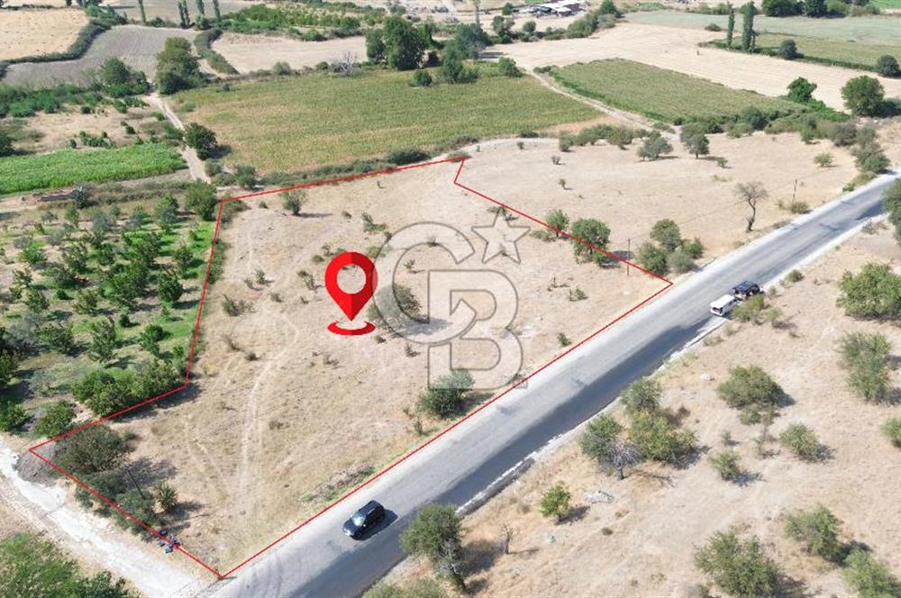 EZİNE GEYİKLİ YOLUNDA ASFALT YOLA CEPHE 16389 M² ARAZİ