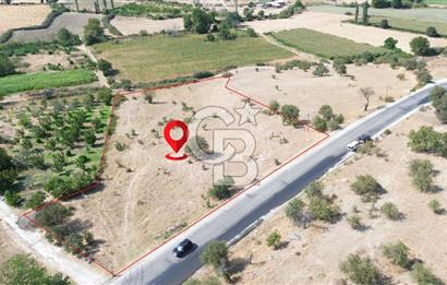 EZİNE GEYİKLİ YOLUNDA ASFALT YOLA CEPHE 16389 M² ARAZİ
