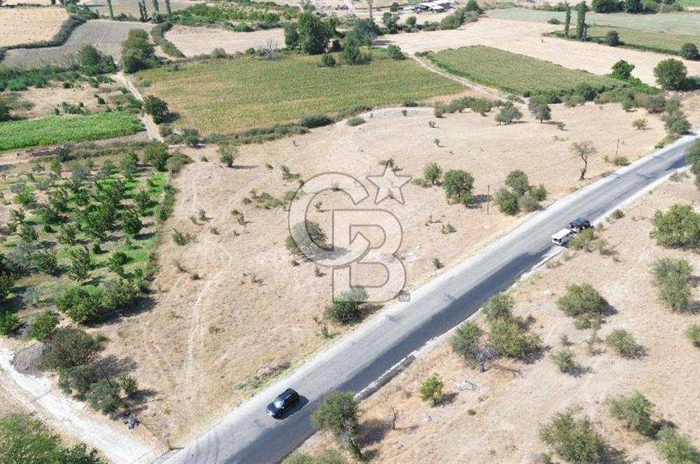 EZİNE GEYİKLİ YOLUNDA ASFALT YOLA CEPHE 16389 M² ARAZİ