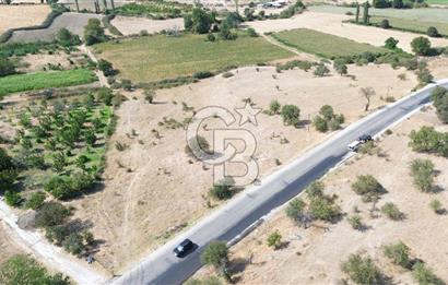 EZİNE GEYİKLİ YOLUNDA ASFALT YOLA CEPHE 16389 M² ARAZİ