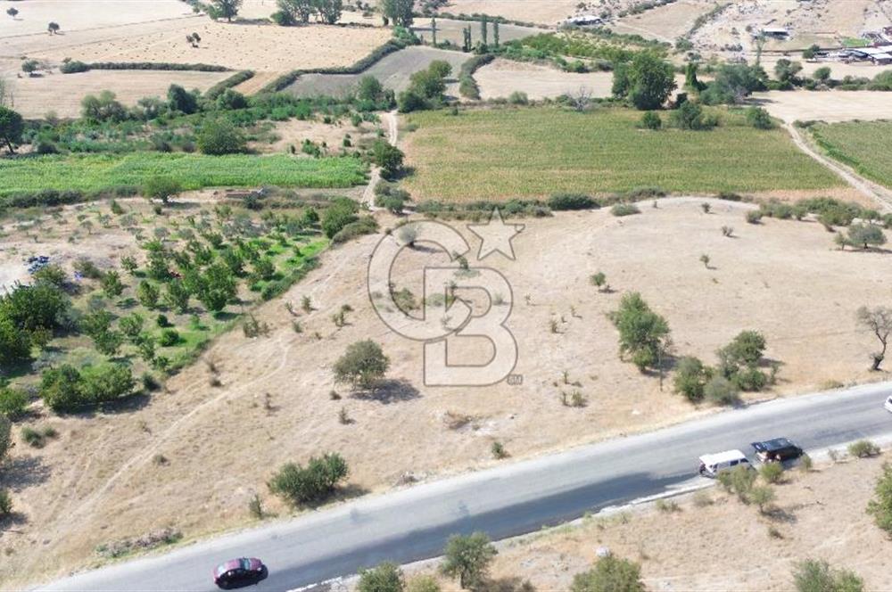 EZİNE GEYİKLİ YOLUNDA ASFALT YOLA CEPHE 16389 M² ARAZİ