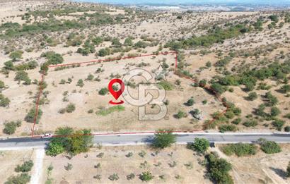 EZİNE GEYİKLİ YOLUNDA ASFALT YOLA CEPHE 16389 M² ARAZİ
