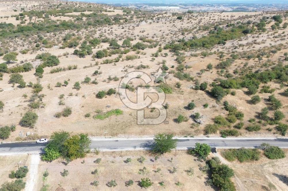 EZİNE GEYİKLİ YOLUNDA ASFALT YOLA CEPHE 16389 M² ARAZİ
