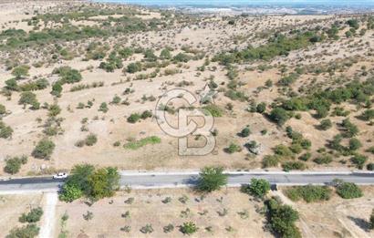 EZİNE GEYİKLİ YOLUNDA ASFALT YOLA CEPHE 16389 M² ARAZİ