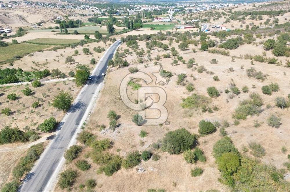 EZİNE GEYİKLİ YOLUNDA ASFALT YOLA CEPHE 16389 M² ARAZİ