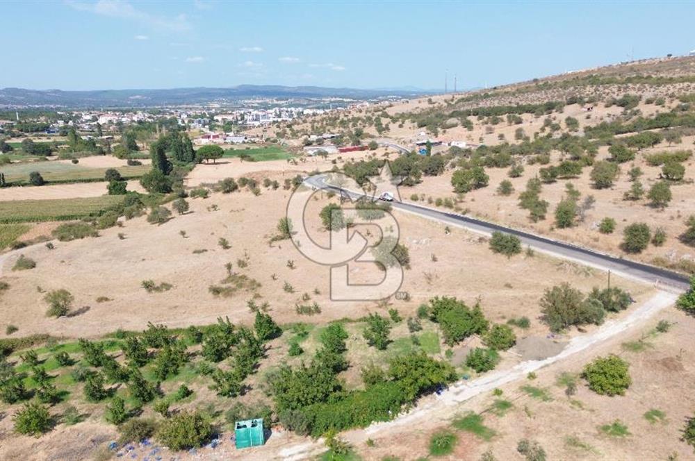 EZİNE GEYİKLİ YOLUNDA ASFALT YOLA CEPHE 16389 M² ARAZİ