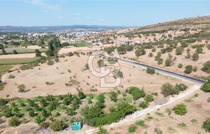 EZİNE GEYİKLİ YOLUNDA ASFALT YOLA CEPHE 16389 M² ARAZİ