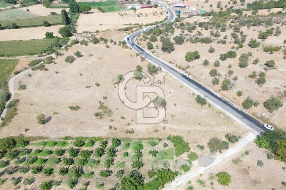 EZİNE GEYİKLİ YOLUNDA ASFALT YOLA CEPHE 16389 M² ARAZİ