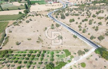 EZİNE GEYİKLİ YOLUNDA ASFALT YOLA CEPHE 16389 M² ARAZİ