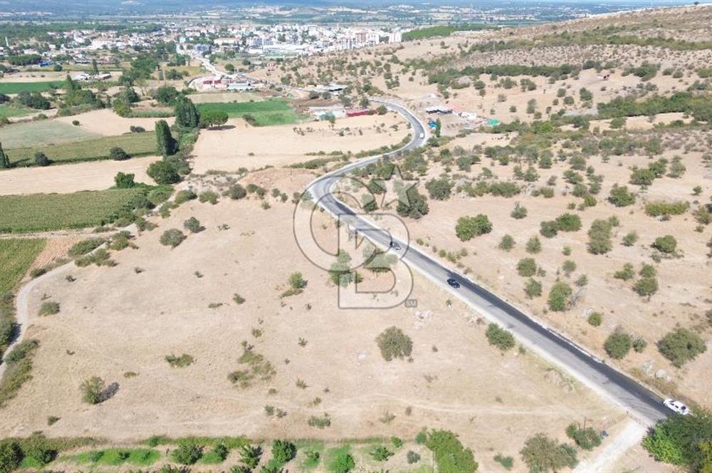 EZİNE GEYİKLİ YOLUNDA ASFALT YOLA CEPHE 16389 M² ARAZİ