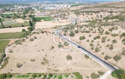 EZİNE GEYİKLİ YOLUNDA ASFALT YOLA CEPHE 16389 M² ARAZİ