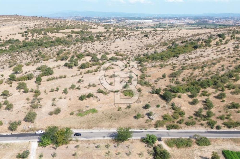 EZİNE GEYİKLİ YOLUNDA ASFALT YOLA CEPHE 16389 M² ARAZİ