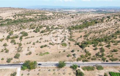 EZİNE GEYİKLİ YOLUNDA ASFALT YOLA CEPHE 16389 M² ARAZİ