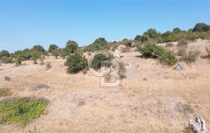EZİNE GEYİKLİ YOLUNDA ASFALT YOLA CEPHE 16389 M² ARAZİ