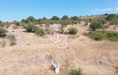 EZİNE GEYİKLİ YOLUNDA ASFALT YOLA CEPHE 16389 M² ARAZİ