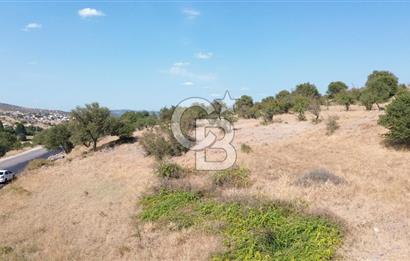 EZİNE GEYİKLİ YOLUNDA ASFALT YOLA CEPHE 16389 M² ARAZİ
