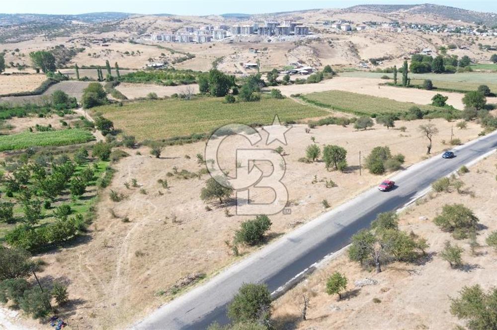 EZİNE GEYİKLİ YOLUNDA ASFALT YOLA CEPHE 16389 M² ARAZİ