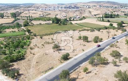 EZİNE GEYİKLİ YOLUNDA ASFALT YOLA CEPHE 16389 M² ARAZİ