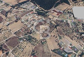 Buca Kaynaklar Mahallesi 250m2 Satılık Kooperatif Hissesi 