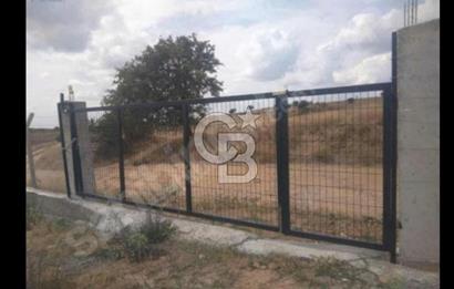 KIRKLARELİ / MERKEZ / YOĞUNTAŞ KÖYÜ SATILIK ÇİFTLİK ARAZİSİ