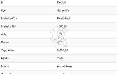 Sarayköy Beylerbeyi 18.120 M² Satılık Tarım Arazisi
