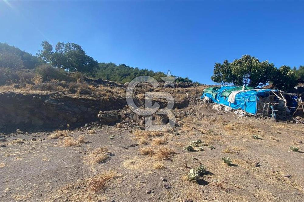 CB NOVO'DAN BALIKESİR HAVRAN'DA 613M2 SATILIK BAHÇE