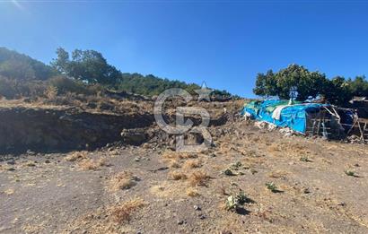 CB NOVO'DAN BALIKESİR HAVRAN'DA 613M2 SATILIK BAHÇE