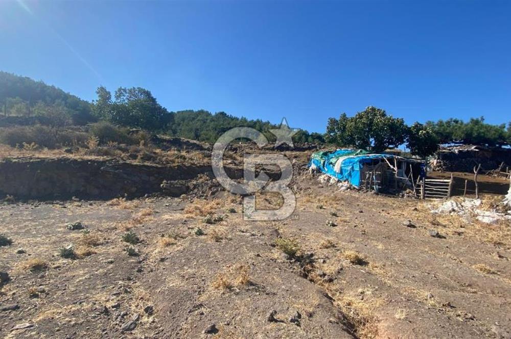 CB NOVO'DAN BALIKESİR HAVRAN'DA 613M2 SATILIK BAHÇE