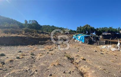 CB NOVO'DAN BALIKESİR HAVRAN'DA 613M2 SATILIK BAHÇE
